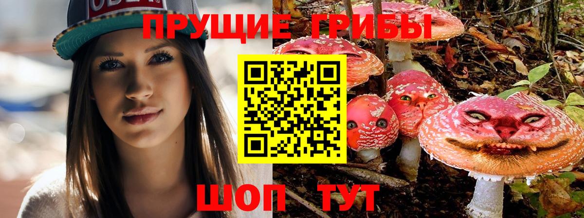 Псилоцибиновые грибы Psilocybine cubensis Нерюнгри