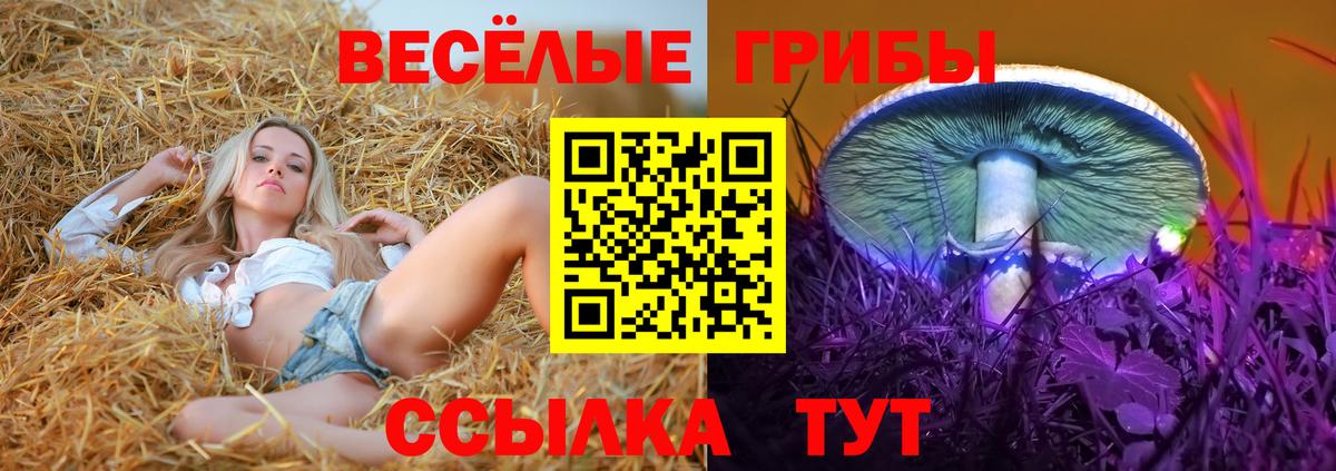 Галлюциногенные грибы GOLDEN TEACHER  Вход с VPN  как найти наркотики  Нерюнгри 
